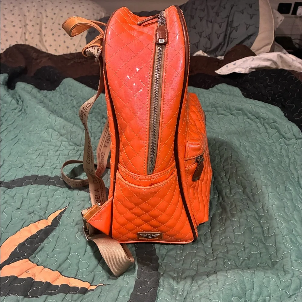 Consuela stylish longchamp